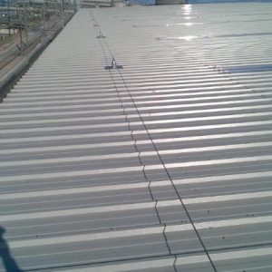 9000m2 Asbestos Roof Replacement