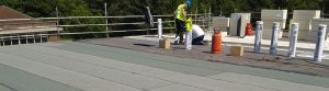 Belmont Roofing Flat Roofing Norwich Header