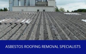 Service Asbestos Roofing Removal
