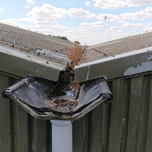 an Old Neglected Roof and Gutter