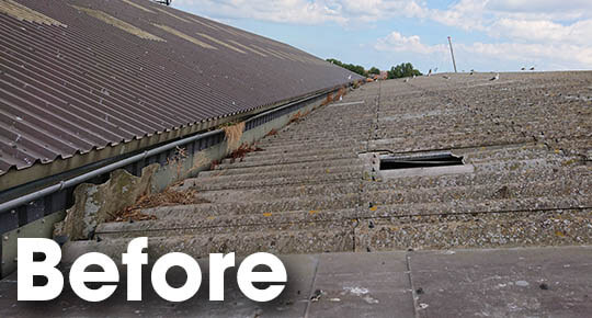 an Old Neglected Roof and Gutter